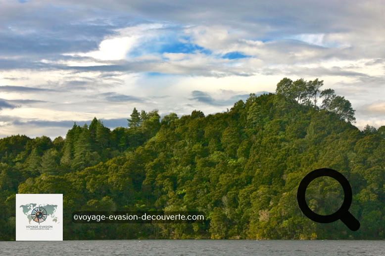 Situé au centre de l’île Nord de la Nouvelle-Zélande, le lac Rotomahana possède une superficie de 8km² avec une profondeur maximale de 112,4m. Il est situé à une vingtaine de kilomètres de Rotorua, au pied du volcan Tarawera.