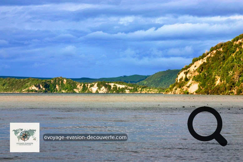 Le grand lac de Rotorua peut être parcouru par la route, le tour entier faisant 41 km. Le lac est le lieu de vie de magnifiques cygnes noirs.