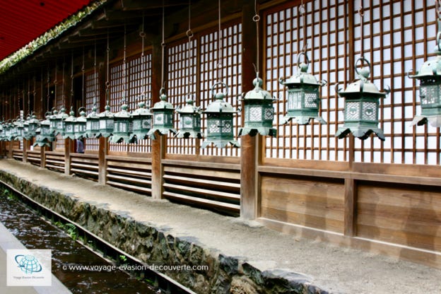 C’est l’un des plus célèbres sanctuaires shintô du pays. Nous avons beaucoup apprécié la balade ombragée, le calme retrouvé après la visite du Tōdai-ji et l’aura mystérieuse de toutes ces lanternes recouvertes de mousse, particulièrement avec les lumières dorées de fin de journée.