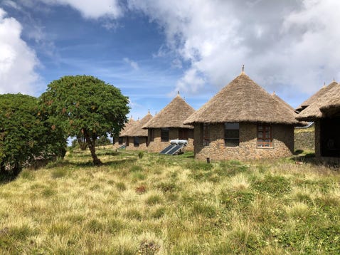 Très beau Lodge dans l'esprit africain, il se trouve à 3 260 m d'altitude. Il est constitué de bungalows et  d'un bâtiment au toit de chaume avec la réception, un salon et la salle à manger. Bon accueil et bon service.  