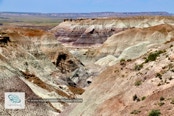 Painted Desert