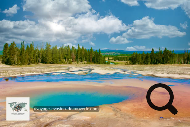Ce secteur est connu pour avoir quelques une des plus grandes et belles piscines colorées naturelles du parc dont la plus connue : Grand Prismatic Spring.  