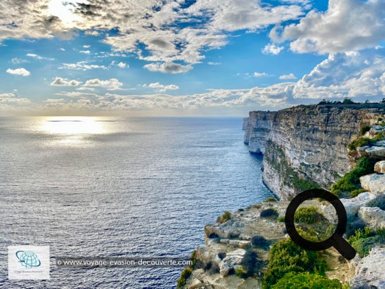 Les falaises de Ta' Ċenċ sont une bande linéaire de 20 hectares de littoral escarpé à côté de la ville de Ta' Sannat, sur la côte Sud de l'île. Ce sont de magnifiques falaises abruptes et accidentées qui s'élèvent du niveau de la mer à une hauteur de 120 m.  Elles sont identifiées comme une zone importante pour les oiseaux.  Ces falaises abritent également un certain nombre de vestiges archéologiques et historiques intéressants comme le temple mégalithique connu sous le nom de Borġ L-Imramma, qui se compose d'une cour à peu près circulaire, d'environ 20 mètres de diamètre. On pense que la structure date d'environ 4 100 à 3 000 avant notre ère. On peut également voir trois dolmens et les fameuses Cart Ruts, ornières de charrette ; une série d'ornières parallèles qui auraient été créées par les énormes rochers traînés par les hommes du néolithique, ce n'est cependant qu'une théorie, car personne ne sait vraiment ce qu'étaient exactement les soi-disant ornières de charrette et aucun archéologue au monde n’a réussi à trouver une réponse définitive.