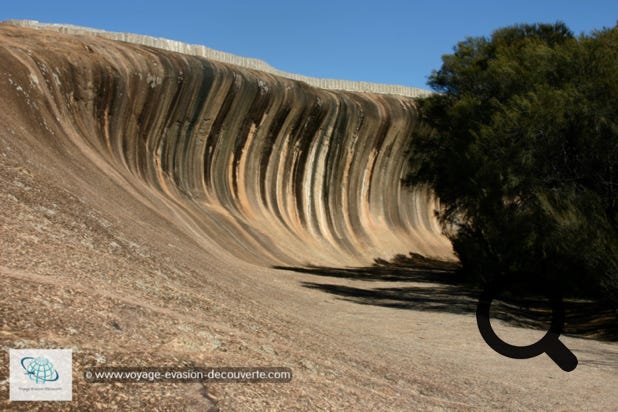Wave Rock est une formation rocheuse naturelle composée de granite ocre. Son nom provient de sa forme qui rappelle une grande vague en train de se briser.  Cette vague rocheuse fait 100 m de long sur 15 m de haut.