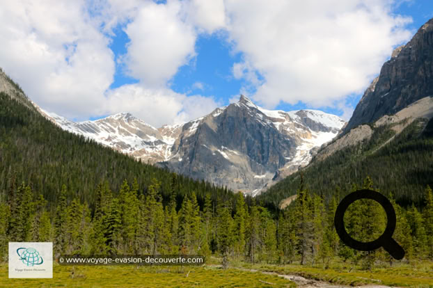 Situé dans les montagnes Rocheuses, il est bordé au Sud par le parc national de Kootenay et à l’Est par le parc national  de Banff. D'une superficie de 1 313 km², le parc Yoho est le plus petit de quatre parcs contigus avec les parcs nationaux Jasper, Kootenay et Banff.
