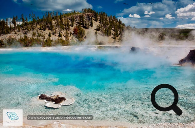 Ce secteur est connu pour avoir quelques une des plus grandes et belles piscines colorées naturelles du parc dont la plus connue : Grand Prismatic Spring.  