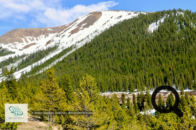 Pour y aller, nous avons continué sur la magnifique route de montagne CO-82 W qui part d'Aspen. La route monte jusqu'à l'Independence Pass qui se trouve à 3 687 m d'altitude.