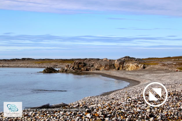 La baie est recouverte en partie par de grands espaces de toundra avec une végétation riche qui attirent de grands troupeaux de rennes du Svalbard. Ces espaces recouverts d'une végétation d'un vert éclatant contraste avec les plages de galets et les montagnes dénudées qui les entoures.