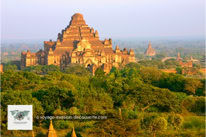 Temples de Bagan - Birmanie