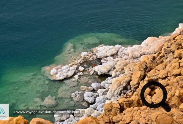 C’est un lac salé partagé entre Israël, la Cisjordanie et la Jordanie. 