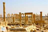 Cité de Palmyre en Syrie