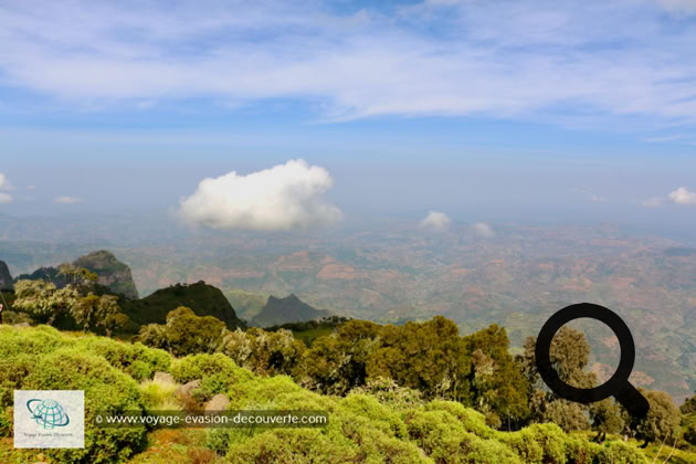 Il a été créé en 1969, sur une superficie de 179 km², en vue de la protection des espèces endémiques qui le peuplent comme le babouin gélada, le loup d'Abyssinie et le bouquetin d'Abyssinie. Le parc est situé dans la région Amhara et couvre les monts Simien ainsi que le Ras Dashan, le 4ème sommet d'Afrique.