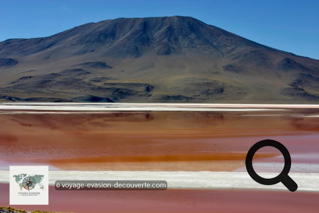 C'est un lac salé de type alto-andine en Bolivie, qui contient des îles de borax dans les secteurs Nord-Est et Sud-Est. Situé à une altitude de 4 278 m, il possède une superficie de 60 km² et une profondeur moyenne de 35 centimètres.