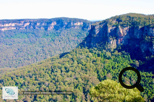 À environ 100 kilomètres à l’Ouest de Sydney, c’est une chaîne de montagnes de grès qui atteignent 1 112 mètres d'altitude à leur point culminant, One Tree Hill, et forment une partie de la Cordillère australienne qui longe approximativement l’Est et le Sud-Est de la côte australienne sur environ 3 000 kilomètres.
