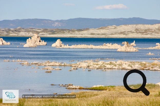 Situé à environ 13 km à l’est du parc du Yosemite, près de la ville de Lee Vining. Ce lac salé au milieu d'une vaste et ancienne caldeira est un écosystème original et inhabituellement productif. Ses 25 km de berges et 180 km² d'étendue d'eau servent d’habitat, de lieu de reproduction et de gué pour beaucoup d’espèces d’oiseaux sédentaires ou migrateurs. Mono Lake est célèbre pour la concrétion atypique d'argiles cimentées à la chaux hydraulique appelée tufa, qui, sous forme de tours, se montre surtout sur les rives méridionales du lac.