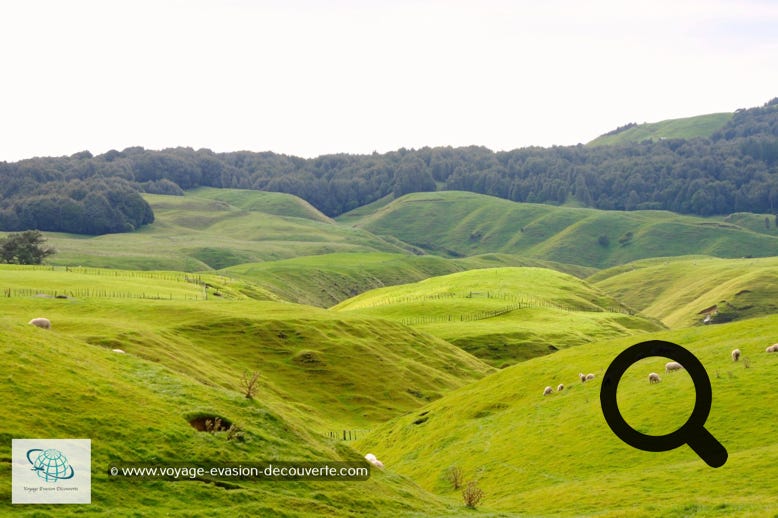Les paysages que nous avons traversés étaient superbes et très variés.