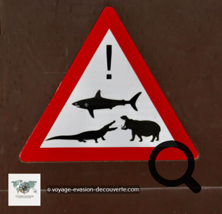 Le lendemain matin, pour nous offrir un avant-goût de la beauté du lieu, nous avons rejoint la vaste plage qui s'étire à perte de vue.  Plusieurs sentiers y mènent à travers la végétation, jalonnés de panneaux prévenant des risques de rencontrer des crocodiles ou des hippopotames.