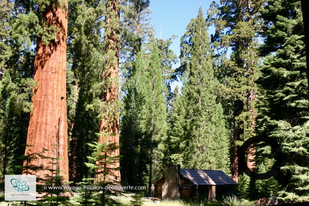 Il comprend 1 635 km² de terrain montagneux boisé, et contient le point culminant des États-Unis contigus, le Mont Whitney, à 4 421 m au-dessus du niveau de la mer. Le  parc est remarquable pour ses séquoias géants, dont l'arbre General Sherman, le plus grand arbre de la Terre, qui pousse dans la Giant Forest, qui contient cinq des dix plus grands arbres du monde. 