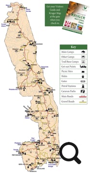Le Parc national Kruger est la plus grande réserve animalière d'Afrique du Sud, il couvre près de 20 000 km². 