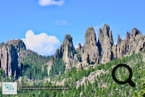 C’est le premier et le plus ancien des parcs du Dakota du Sud. Il est célèbre pour ses paysages, sa route panoramique dans ses superbes needles  “aiguilles ou pinacles“, et il permet une rencontre directe et inoubliable avec l’animal le plus mythique de l’Ouest : le bison (1 500 dans le parc). 
