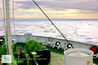 La banquise au Spitzberg