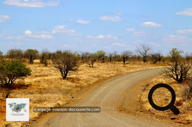 Le Parc national Kruger est la plus grande réserve animalière d'Afrique du Sud, il couvre près de 20 000 km². D’une longueur de 350 km du Nord au Sud et d’une largeur de 60 km d’Est en Ouest, sa taille est comparable à celle d'Israël ou à celle du Pays de Galles.