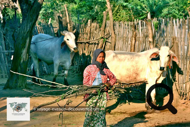 C’est une habitante qui nous accueille avec un grand sourire et nous invite à pénétrer dans l’enceinte du village. Cette charmante dame nous emmène visiter quelques maisons construites sur pilotis avec une hauteur entre le sol et le plancher d’environ un mètre. Les maisons sont faites en bambou, parfois tressé pour donner plus de résistance aux murs.