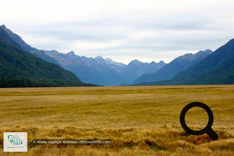 Ces fjords ont été sculpté par les glaciers pendant l'ère glaciaire. Le Milford Sound est à couper le souffle, et ce quelles que soient les conditions météorologiques. Il s'avance d'une quinzaine de kilomètres dans les terres, au cœur des Alpes du Sud. 