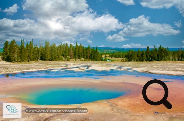Ce secteur est connu pour avoir quelques une des plus grandes et belles piscines colorées naturelles du parc dont la plus connue : Grand Prismatic Spring.  