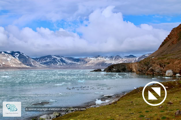 Avec ses 30 km de long et 5 km de large, le Krossfjord se partage l'embouchure avec le Kongsfjord. En majeure partie montagneux et escarpé. La partie plate se situe à l’Ouest du fjord, là où se trouvent aussi les seuls lacs de la région.