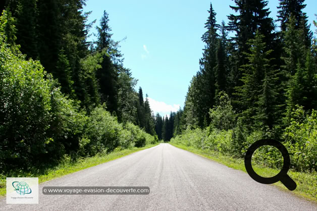 La promenade des Prés-dans-le-Ciel, est une route sinueuse qui décrit une ascension de 26 kilomètres depuis la ville de Revelstoke et s’élevant de 1 500 m garantissant de beaux panoramas sur la vallée.