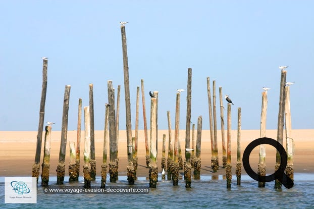 Abritée par la pointe de sable de Pelican Point, sa lagune littorale accueille de nombreuses espèces d'oiseaux, dont des flamants roses, des pélicans et des sternes des baleiniers.