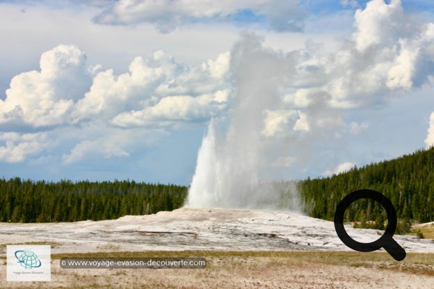 Ce geyser produit l'un des plus grands jets d'eau chaude et de vapeur au monde, avec le Strokkur islandais.  Comment il fonctionne ? Le Old faithful est un geyser de type dit “ en cône “. Sa taille est relativement petite, mais il possède un étroit conduit qui le relie à une nappe phréatique bouillonnante, en contact avec une chambre magmatique géante, le fameux supervolcan du Yellowstone.