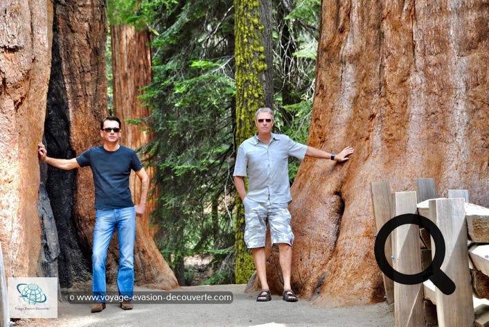 Que faire aux USA ? Californie Blog voyage Evasion Découverte