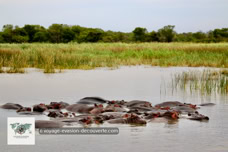 Parc des zones humides du Grand St Lucia - Afrique du Sud