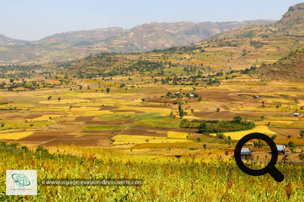 Ces régions d'altitude au climat plus frais et plus humide que le reste du pays sont propices à l'agriculture, et contiennent les sources de nombreux cours d'eau ce qui leur vaut le nom de “toit de l'Afrique“. C'est en traversant ces plateaux que l'on se rend compte de l'importance de l'agriculture en Éthiopie. À perte de vue, s'étend des champs de riz, de blé, de maïs et d'orge formant un superbe patchwork.