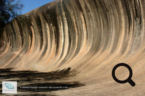 Wave Rock est une formation rocheuse naturelle composée de granite ocre. Son nom provient de sa forme qui rappelle une grande vague en train de se briser.  Cette vague rocheuse fait 100 m de long sur 15 m de haut.